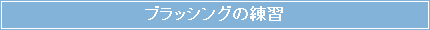 ブラッシングの練習