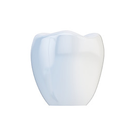 上部構造物・ インプラント義歯