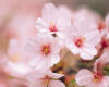 20120319