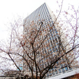 200803261